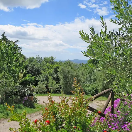 Fonte - Nobile - Borgo La Civitella By Interhome * Роккастрада